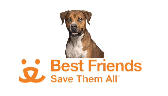 best friends charity logo pets